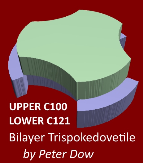 C100+C121_3D.jpg